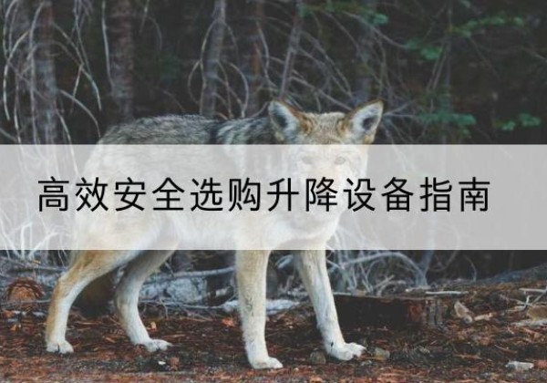 金寨升降货梯厂家推荐-*安全选购升降设备指南