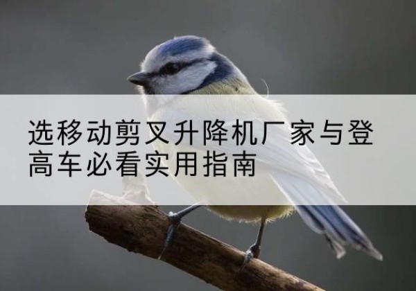 金寨电动升降机厂家-选移动剪叉升降机厂家与登高车必看实用指南