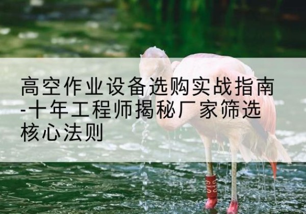 金寨剪叉式升降机厂家-高空作业设备选购实战指南-十年工程师揭秘厂家筛选核心法则