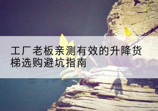 金寨升降货梯怎么选-工厂老板亲测有效的升降货梯选购避坑指南